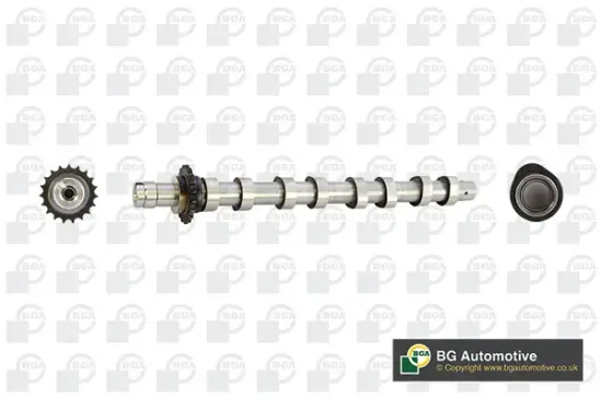 Nockenwelle Einlassseite BGA CS5531 Bild Nockenwelle Einlassseite BGA CS5531