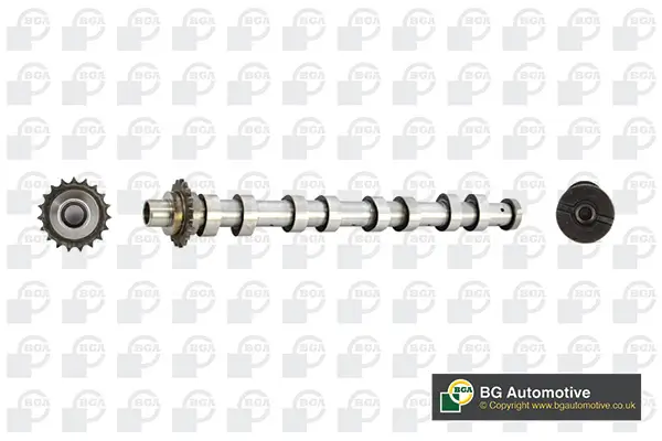 Nockenwelle Auslassseite BGA CS5538