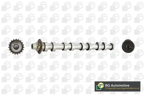 Nockenwelle Auslassseite BGA CS5538 Bild Nockenwelle Auslassseite BGA CS5538