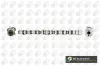 Nockenwelle Auslassseite Einlassseite BGA CS9504