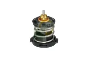 Thermostat, Kühlmittel BGA CT9623