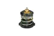 Thermostat, Kühlmittel BGA CT9624