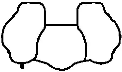 Dichtung, Ansaugkrümmer BGA MG8537