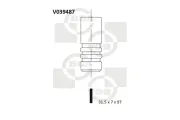 Auslassventil BGA V039487