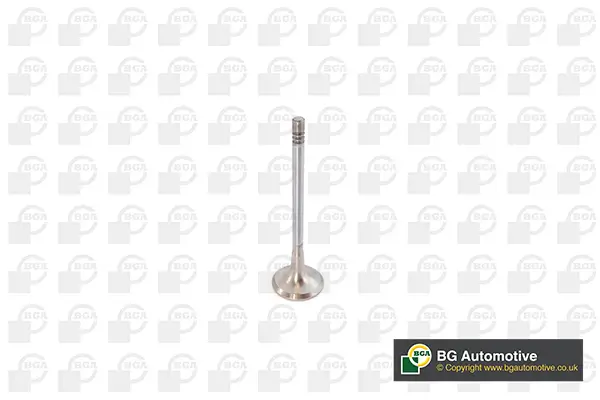 Auslassventil BGA V142050