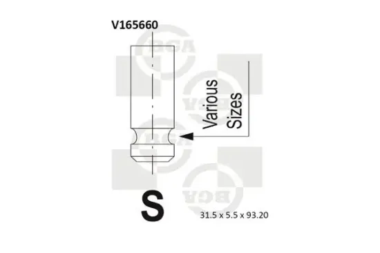 Einlassventil BGA V165660 Bild Einlassventil BGA V165660