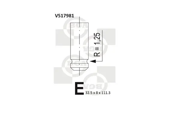 Auslassventil BGA V517981