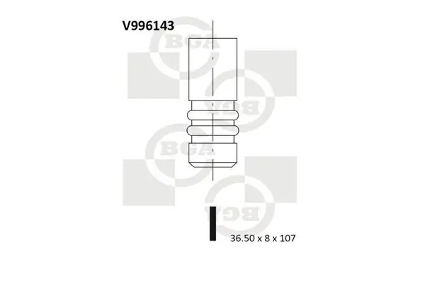 Einlassventil BGA V996143