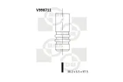 Auslassventil BGA V998711