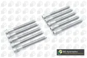 Zylinderkopfschraubensatz BGA BK6355