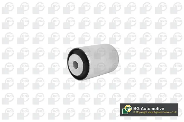 Lagerung, Achskörper Hinterachse links Hinterachse rechts BGA BU5673