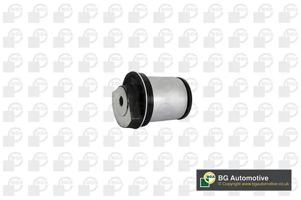 Lagerung, Achskörper Hinterachse links Hinterachse rechts BGA BU6502