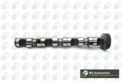 Nockenwelle für Zylinder 1-3 Einlassseite BGA CS3594