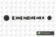 Nockenwelle Auslassseite Einlassseite BGA CS4365
