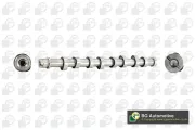 Nockenwelle Auslassseite Einlassseite BGA CS4573
