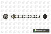 Nockenwelle Auslassseite BGA CS5538