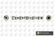 Nockenwelle Auslassseite Einlassseite BGA CS6387