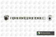 Nockenwelle Auslassseite Einlassseite BGA CS9504