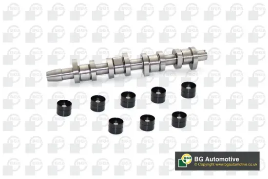 Nockenwellensatz Auslassseite Einlassseite BGA CS9604K Bild Nockenwellensatz Auslassseite Einlassseite BGA CS9604K