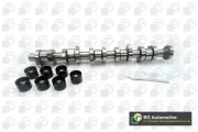 Nockenwellensatz Auslassseite BGA CS9610K