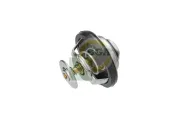 Thermostat, Kühlmittel BGA CT0120
