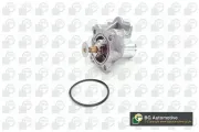 Thermostat, Kühlmittel BGA CT2201