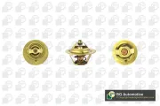 Thermostat, Kühlmittel BGA CT5487