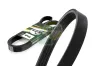 Keilrippenriemen BGA 4PK798E Bild Keilrippenriemen BGA 4PK798E