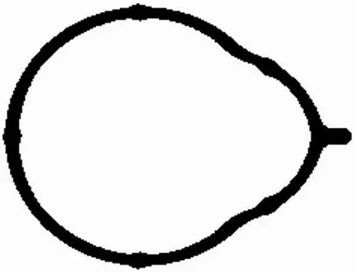 Dichtung, Ansaugkrümmer BGA MG2581