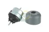 Lagerung, Motor vorne BGA MT9184