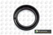 Wellendichtring, Kurbelwelle stirnseitig BGA OS5314
