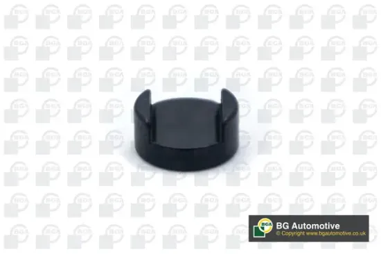 Druckstück, Einlass-/Auslassventil BGA TP3999 Bild Druckstück, Einlass-/Auslassventil BGA TP3999