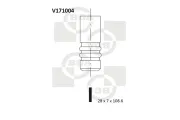 Auslassventil BGA V171004