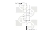Auslassventil BGA V171014