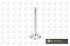 Auslassventil BGA V991760