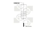 Auslassventil BGA V998719