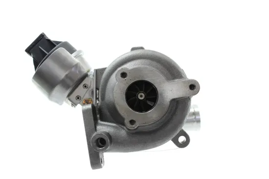 Lader, Aufladung Motor ALANKO 10900199 Bild Lader, Aufladung Motor ALANKO 10900199