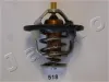 Thermostat, K&uuml;hlmittel JAPKO 38518