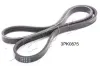 Keilrippenriemen JAPKO 3PK875