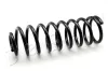 Fahrwerksfeder Hinterachse JAPKO ZCJ5213G