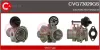 AGR-Ventil CASCO CVG73029GS