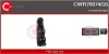 Schalter, Fensterheber 12 V vorne CASCO CWR70074GS