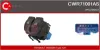 Schalter, Fensterheber 12 V fahrerseitig CASCO CWR71001AS