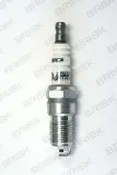 Zündkerze BRISK 1389