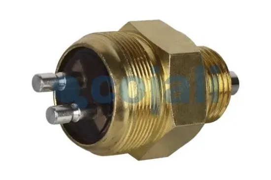 Kontrollschalter COJALI 2260350 Bild Kontrollschalter COJALI 2260350