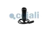 Schalthebelknauf COJALI 2880267 Bild Schalthebelknauf COJALI 2880267