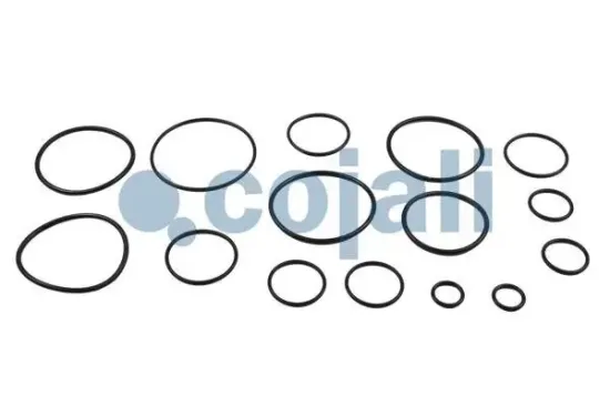 Reparatursatz, Bremsventil-Betriebsbremse COJALI 6012001 Bild Reparatursatz, Bremsventil-Betriebsbremse COJALI 6012001