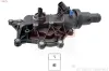 Thermostat, Kühlmittel EPS 1.880.716