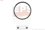 Dichtung, Thermostat EPS 1.890.527