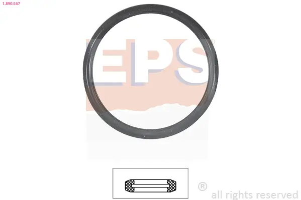 Dichtung, Thermostat EPS 1.890.567
